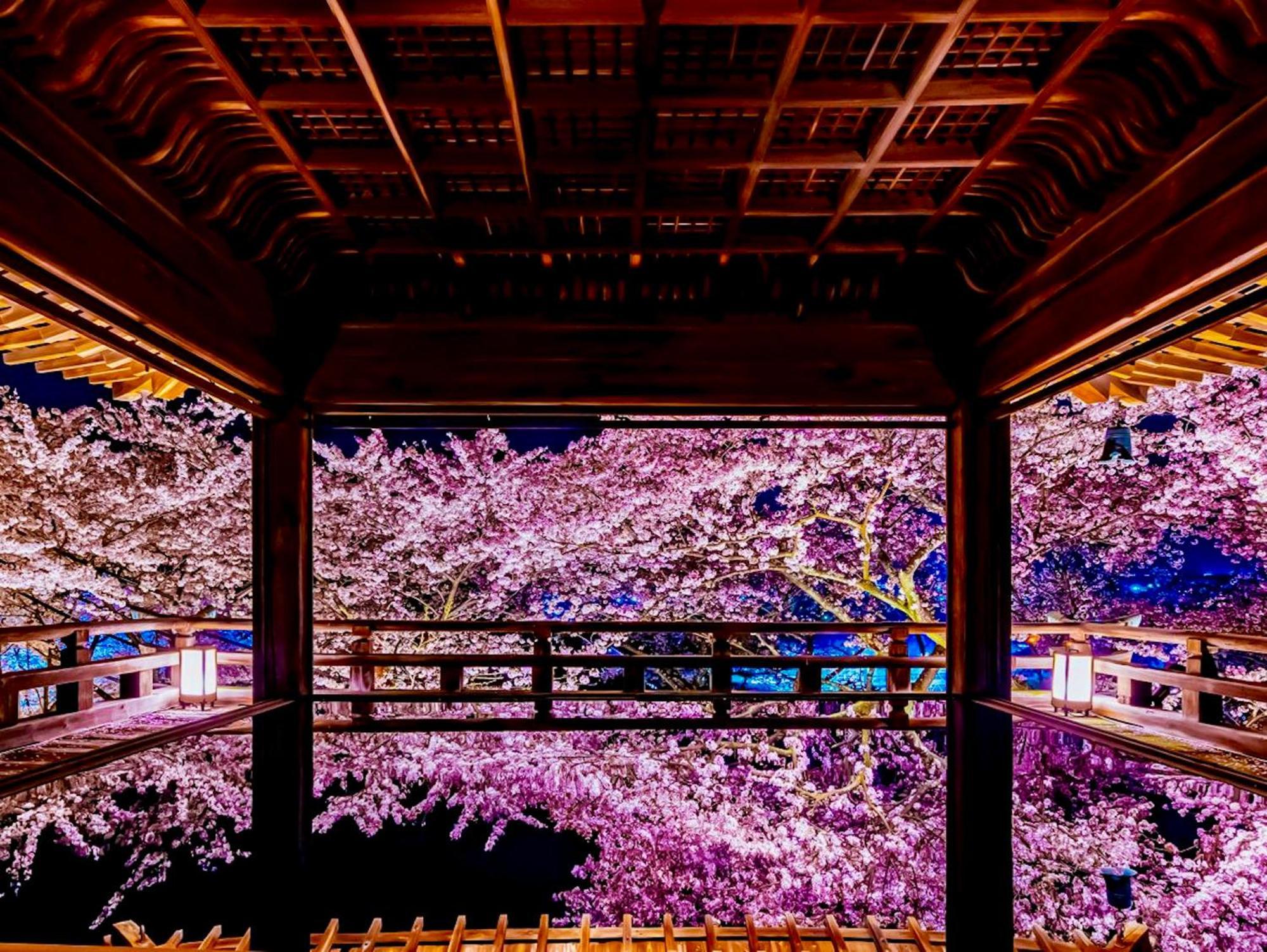 Koke Musu Inn Otsu Exterior foto