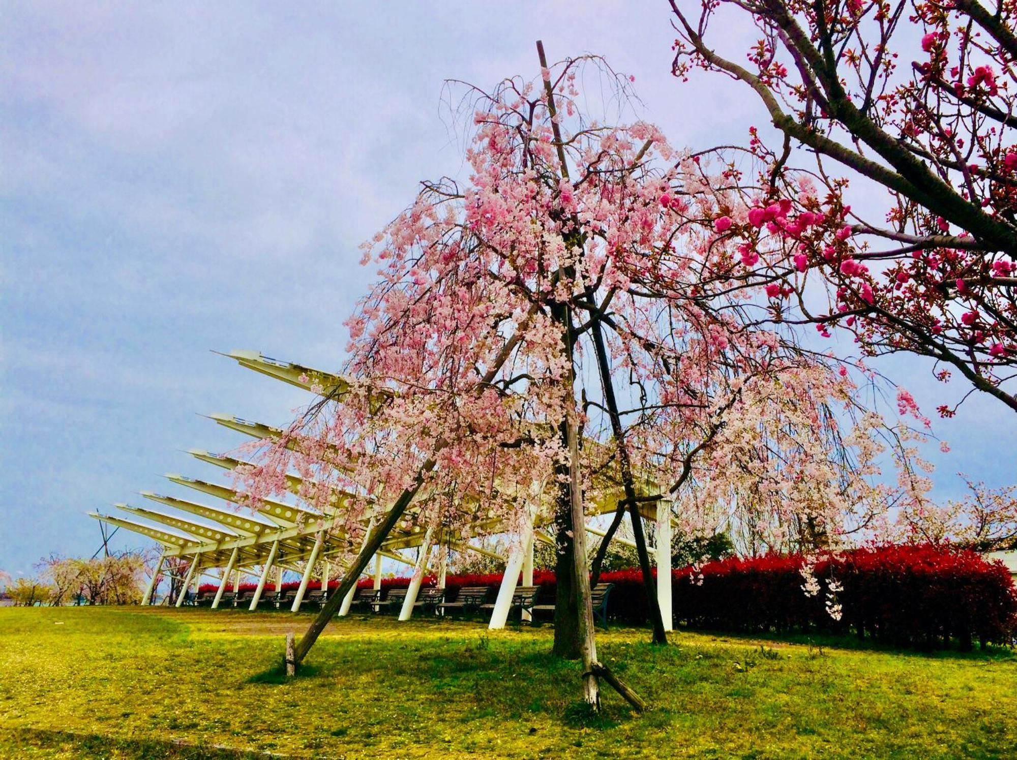 Koke Musu Inn Otsu Exterior foto